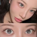 렌즈모아 | 렌시스 축고정렌즈 도니아 문그레이 내돈내산 후기