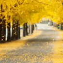 좋은날오후 이미지