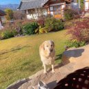 여주-1106 이미지