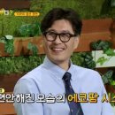 (주)제이에스이