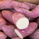 무안농장 이미지