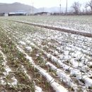 다마내기 이미지