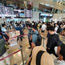 바글바글 이미지