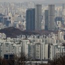 서울인