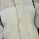 하모 인 진주 이미지