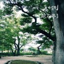 현대밀면 이미지