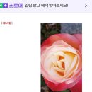 시집