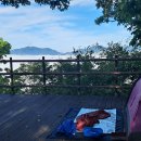 제로그램 파피용 리미티드에디션 이미지