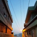 성북시장 이미지