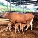 이성우농장 이미지