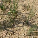 홍산농장 이미지