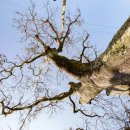 무릉리방사탑 2호 이미지