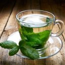 페퍼민트 이미지