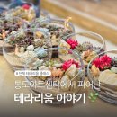 무학산블루밍작은도서관 | 문화센터 추천 수업! 블루밍앤브러쉬 테라리움 클래스...통도아트센터와 함께한 4회차 테라리움 수업 후기