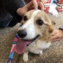 백호농장 이미지