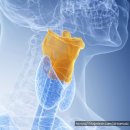 미성메디칼 | 인계동보컬레슨후기-후두위치에 따라 달라지는 나의 목소리로 노래 부르기