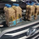 카데렐라 이미지