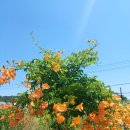 이화원약국 이미지