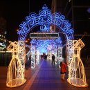 잦은 송년회 "이런 건배사 어때요" 이미지