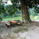 느티나무펜션 이미지