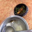 나인 스포렉스 이미지