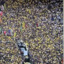 물의 기억 이미지