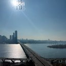 갤러리패밀리호텔 | 서울 호캉스 추천 호텔 나루 서울 엠갤러리 패밀리트윈 수영장 후기