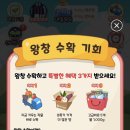 오렌지2 이미지