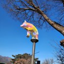 한국동물무역법인 주식회사 | 서울 대공원 四季(겨울) 후기(2026. 01. 01.)