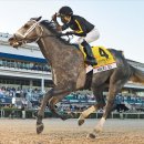 월드컵목장 이미지