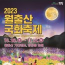 영암 월출산 국화축제 이미지