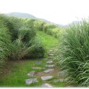 경성대학교박물관 이미지