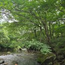 생태숲민박 이미지