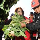 해안면 게이트볼장 이미지