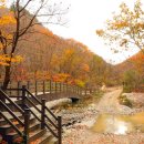 목교농장 이미지