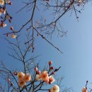 만고강산 이미지