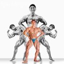 팀 비스트 | 송도동헬스장 연수구 인천 헬스 PT pt 피티 팀비스트짐 PT 가격 이벤트 후기