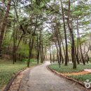해송 - 군산시 서수송1길 12-5 | 해송