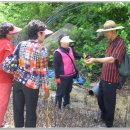 산야초산장 이미지