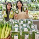 스마트팜 이미지