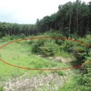 포항시남구45 이미지