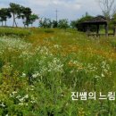 신왕제 이미지