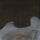 섬등포선착장 이미지