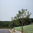 처인고등학교 티스토리