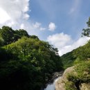 용추솔밭관광농원 | 함양여행, 솔밭관광농원, 용추계곡후기