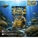 만수피싱