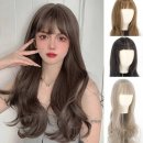 036 이미지