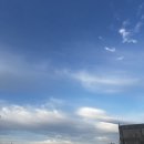 (주)제주백록담 | 제주도 한라산 탐방예약 ~ 성판악 백록담 등산코스 후기(+3월 말 날씨,준비물,주차)