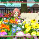 오퍼레이션 이미지