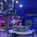 스타카인테리어 | 스타필드 고양 아이와 가볼만한 곳 | 카페드 아쿠아 솔직 후기